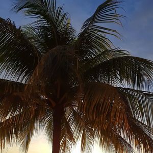 Meet your Posher, Tena